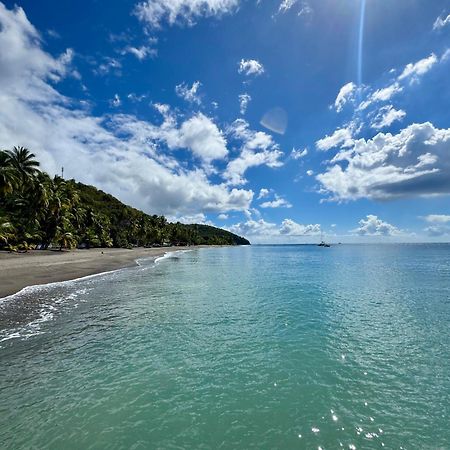 Le Gaspardo , 2 Chambres Climatisees , A 2 Mins A Pied De La Plage , Wifi , Jardin Clos, Parking ,Sans Vis-A-Vis Le Carbet Eksteriør bilde